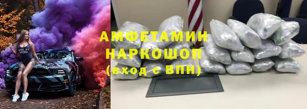 индика Кулебаки