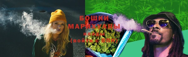 индика Кулебаки