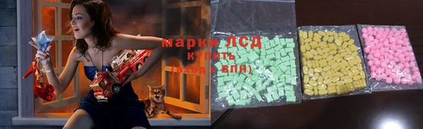 индика Кулебаки