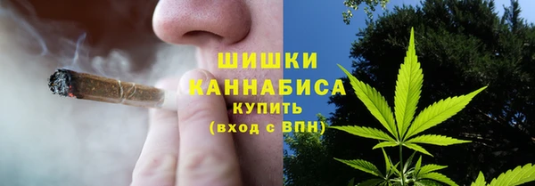 индика Кулебаки