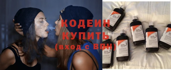 индика Кулебаки