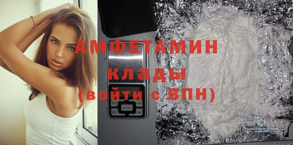 индика Кулебаки