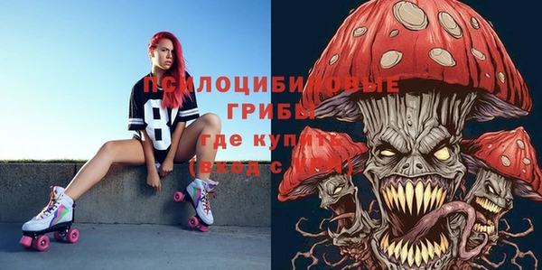 индика Кулебаки