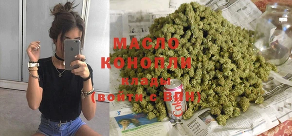 индика Кулебаки