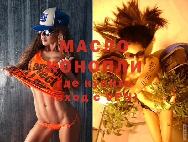 индика Кулебаки