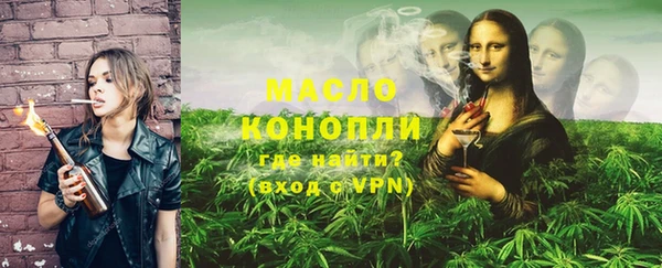 индика Кулебаки