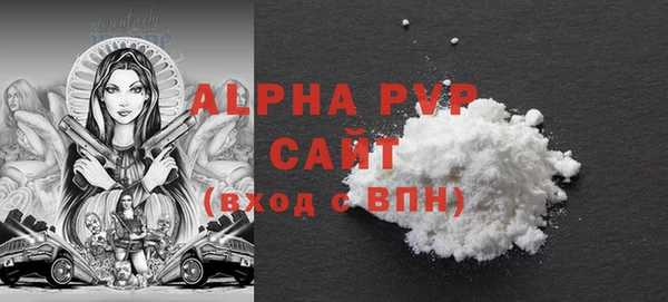 индика Кулебаки