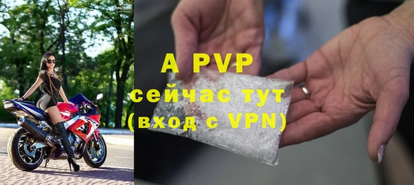 индика Кулебаки