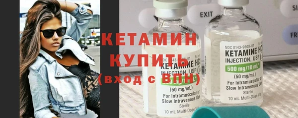 индика Кулебаки